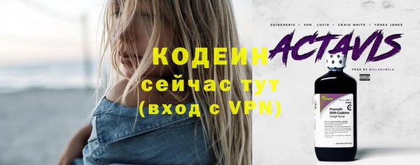 молекула духа Арсеньев