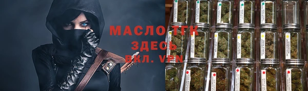 молекула духа Арсеньев