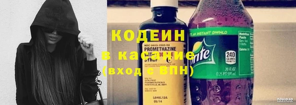 молекула духа Арсеньев