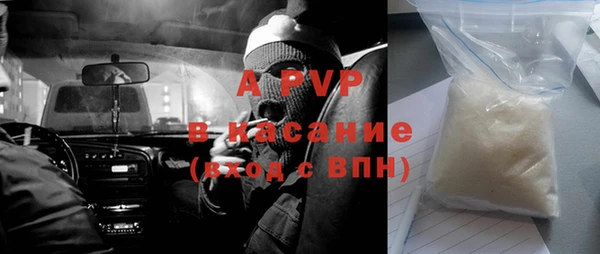 молекула духа Арсеньев