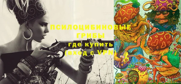 apvp Балахна