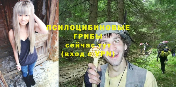 ALPHA PVP Аркадак