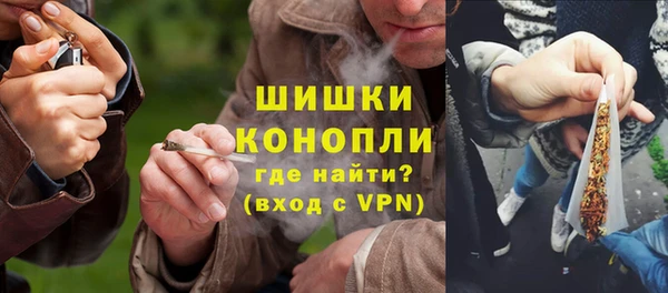 молекула духа Арсеньев