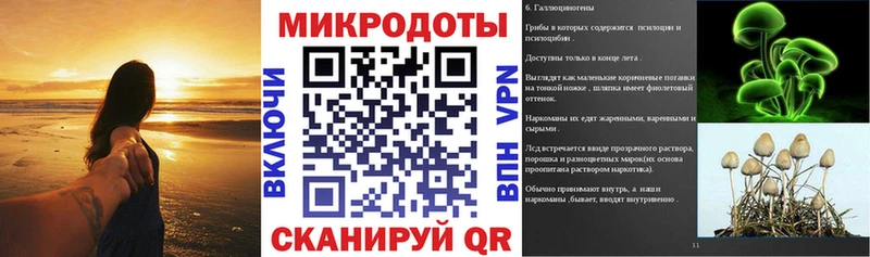 Псилоцибиновые грибы Magic Shrooms ОМГ ОМГ ONION Североуральск где купить наркоту